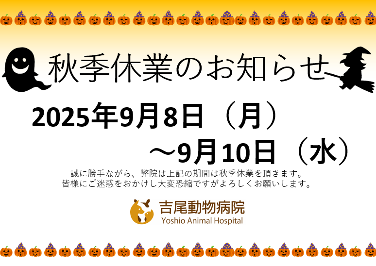 無題_コピー