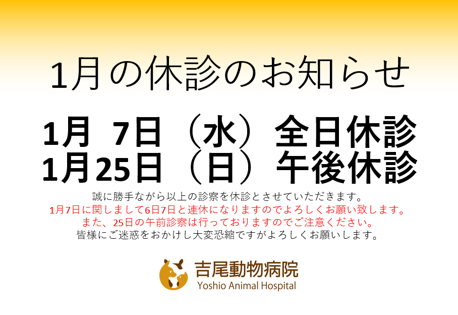 1月の休診_コピー